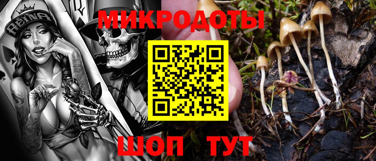 Галлюциногенные грибы прущие грибы  Галлюциногенные грибы ЛСД  купить наркотик  Вход с VPN  Каменка 