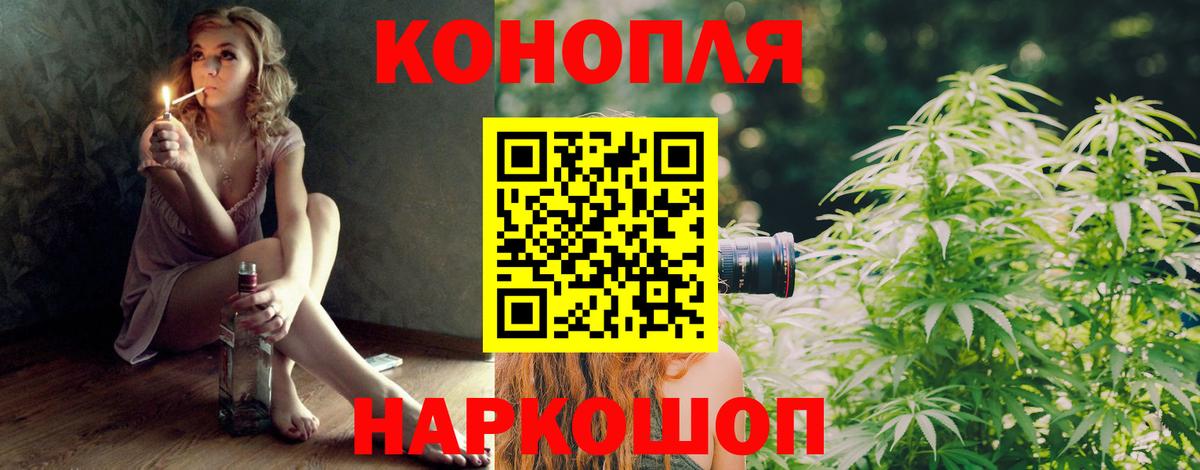 Бошки Шишки тримм  Вход с VPN  Конопля Amnesia  Каменка  Бошки Шишки сатива  Канабис Bruce Banner 